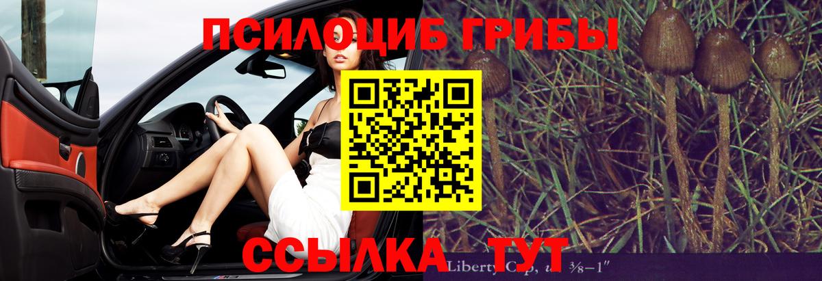 Галлюциногенные грибы Magic Shrooms  Вход с VPN  Сунжа 